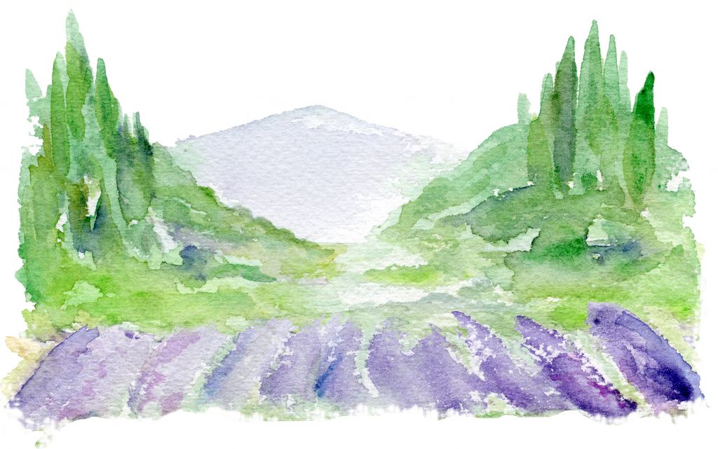 Zeichnung von Lavendel